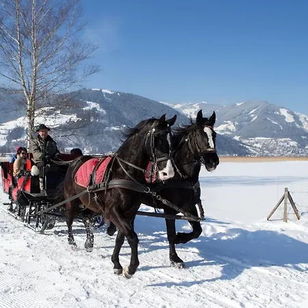 Patricia 3* カプルーン