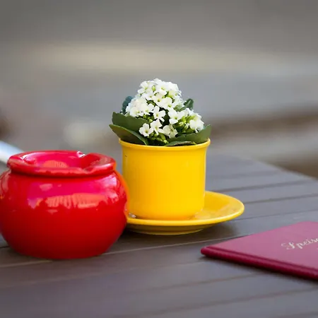 Casa de hóspedes Patricia